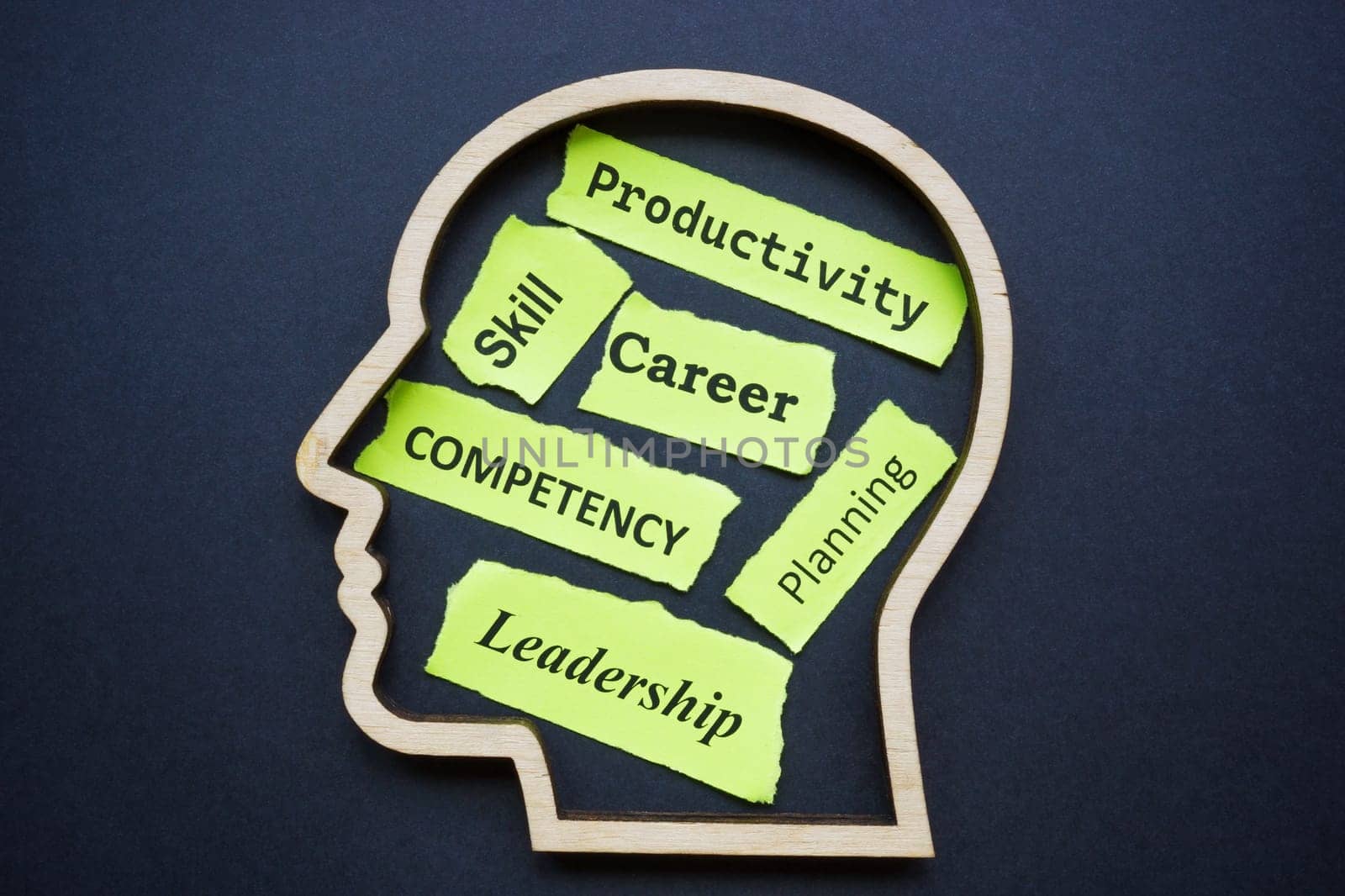 Outline of head with words productivity, career, competency and skills.