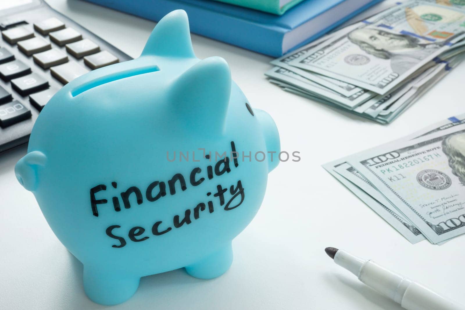 Blue piggy bank with sign financial security and money.