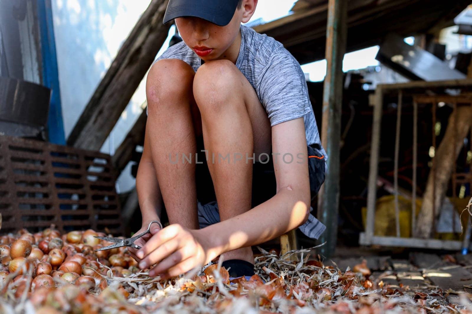 One Caucasian boy in a blue cap sits on a small bench and peels an onion with scissors, preparing it for storage in winter, on a summer evening, close-up side view.