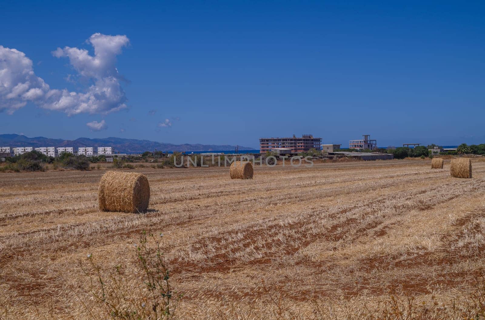 A haystack in a farm field after harvest on a sunny august evening by Mixa74