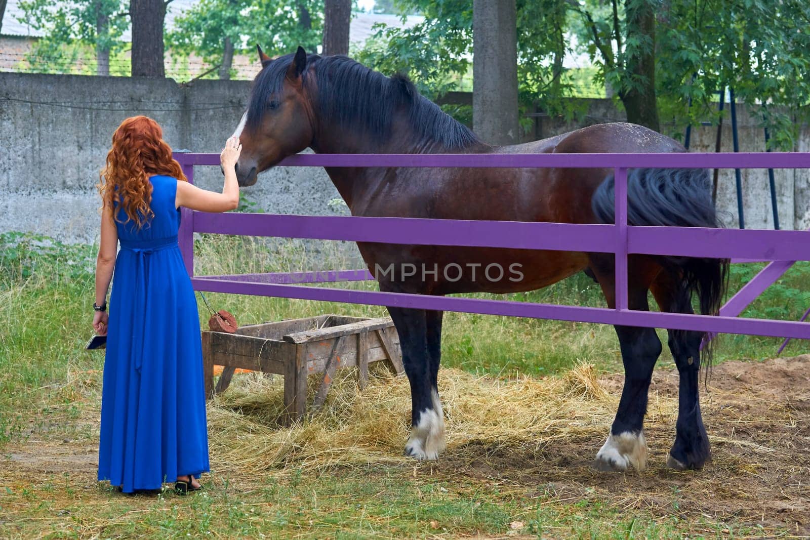 Red haired woman in a blue dress strokes a horse in a corral by jovani68