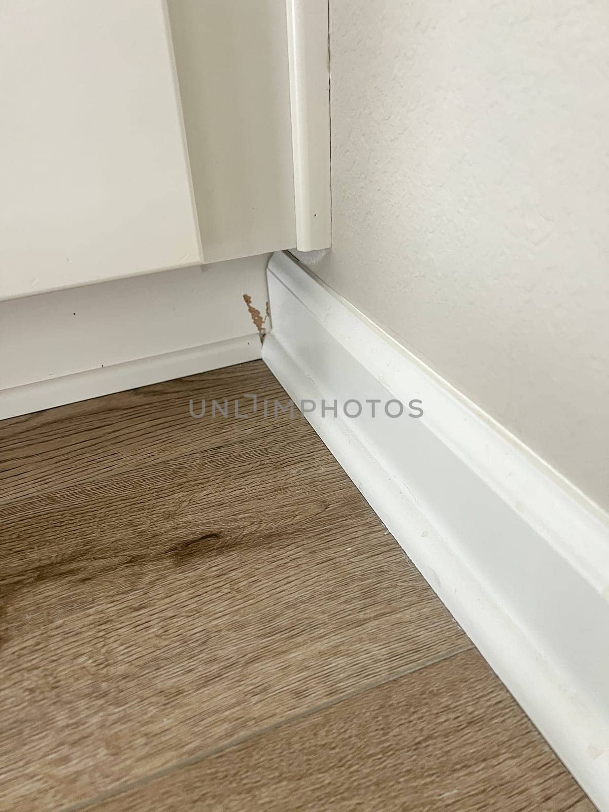 Close-Up of Modern White Indoor Blinds with Control Stick by arinahabich