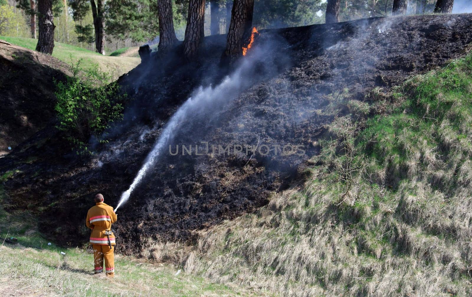 Firefighters successfully contained a large grass fire near rural homes, preventing any damage to the properties. Their swift response and effective coordination ensured the safety of the residents.