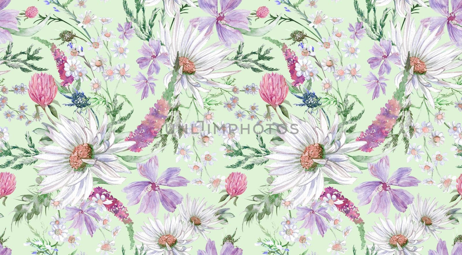 Summer seamless pattern with daisy clover flowers and other wildflowers drawn