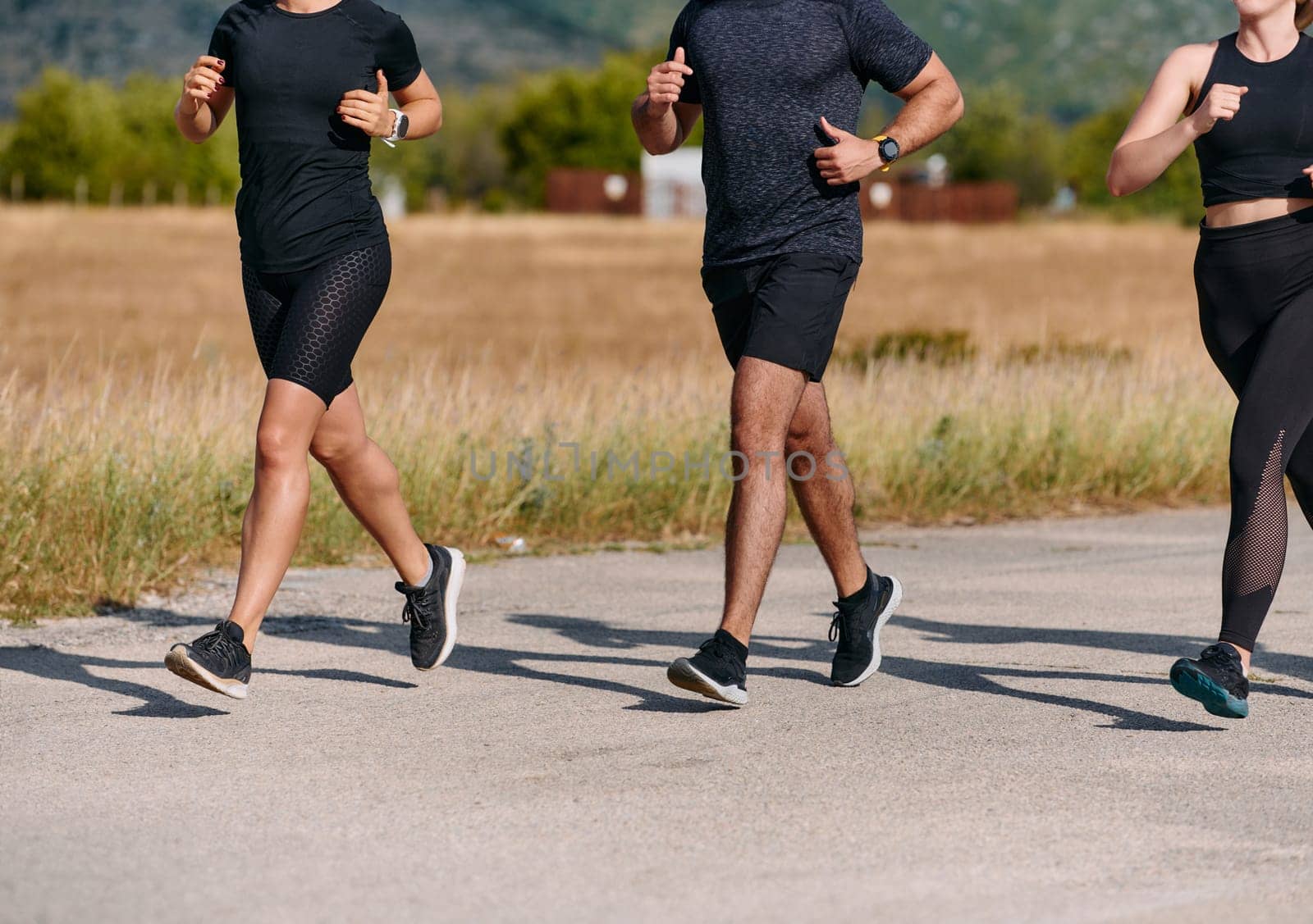 A professional athletic team as they train rigorously, running towards peak performance in preparation for an upcoming marathon.