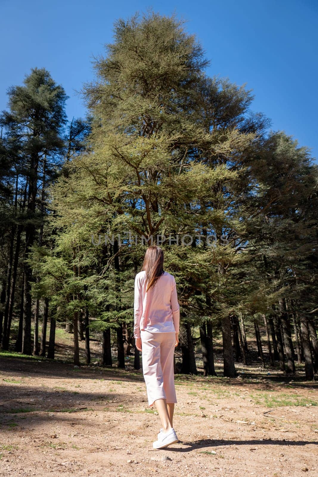 Young Woman in Pale Pink Dress Standing in Cedar Forest of Ifrane by LopezPastor