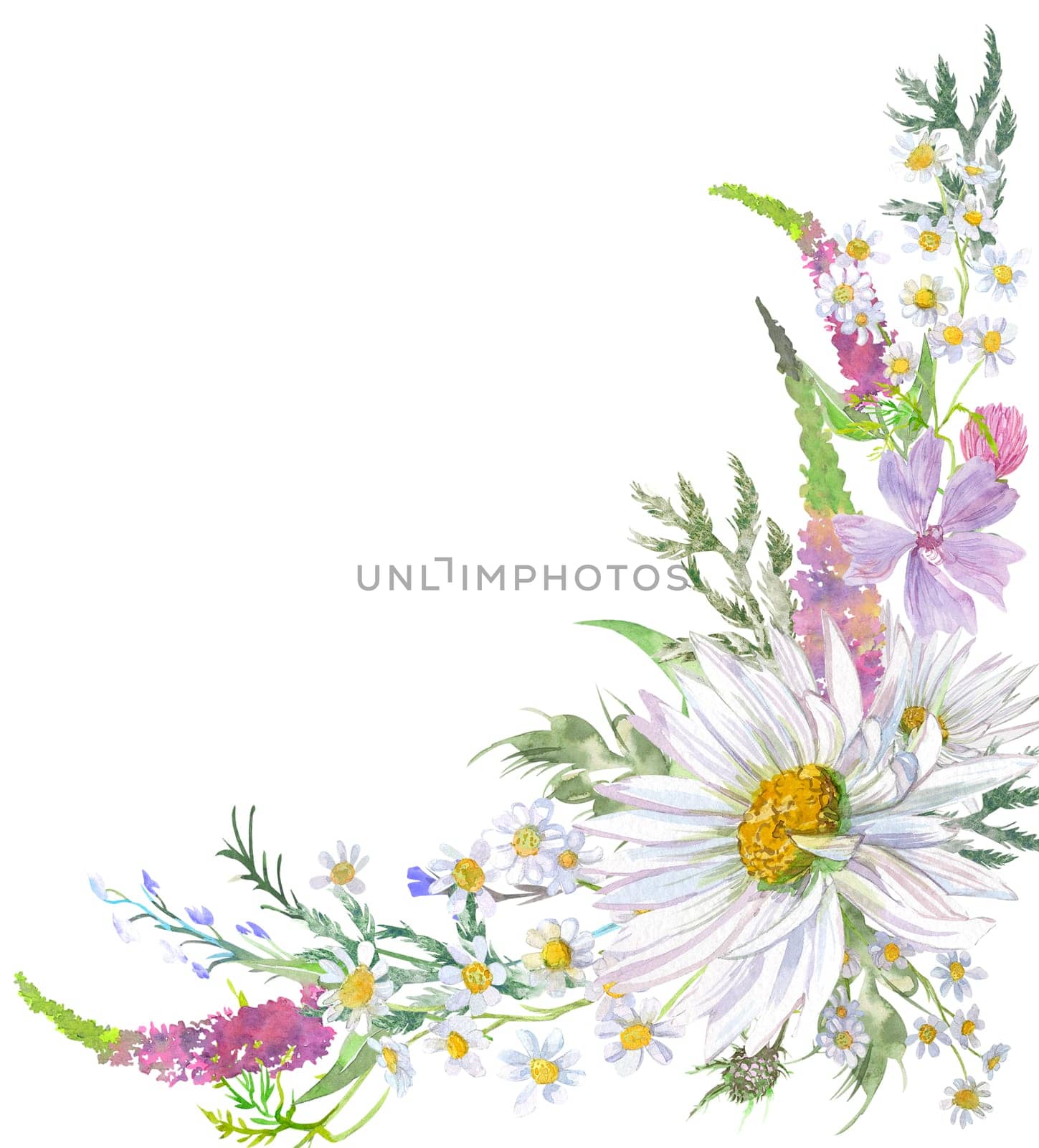 Decorative corner of flowers with daisies and herbs isolated