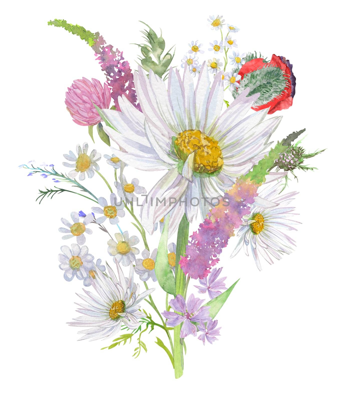 Bouquet of flowers with daisies and herbs isolated on white background