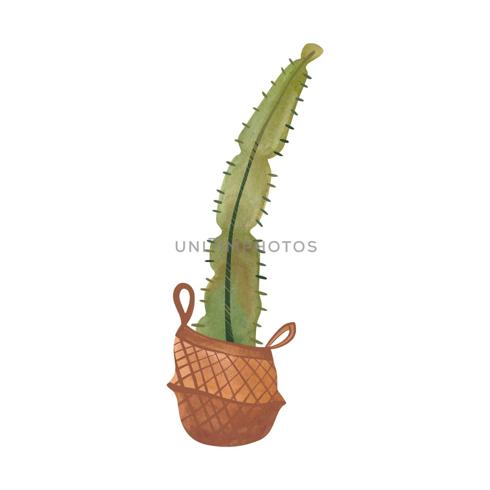 Cactus in a wicker basket. Plants for the home. Floriculture. Interior decoration. Isolated watercolor illustration on white background. Clipart