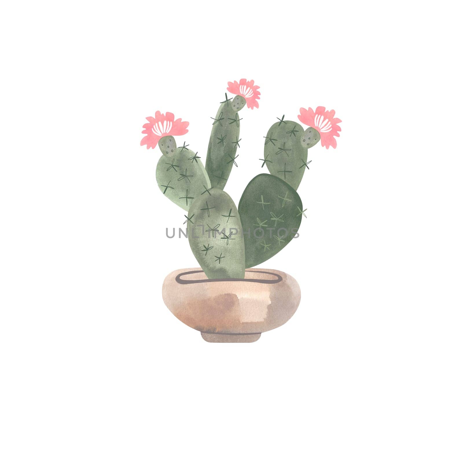 Cactus in a wide light concrete pot. Plants for the home. Floriculture. Interior decoration. Isolated watercolor illustration on white background. Clipart