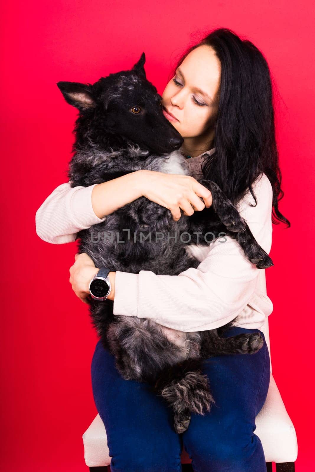 Happy lady in casual wear hugging purebred pet dog, mudi with owner over studio background. by Zelenin