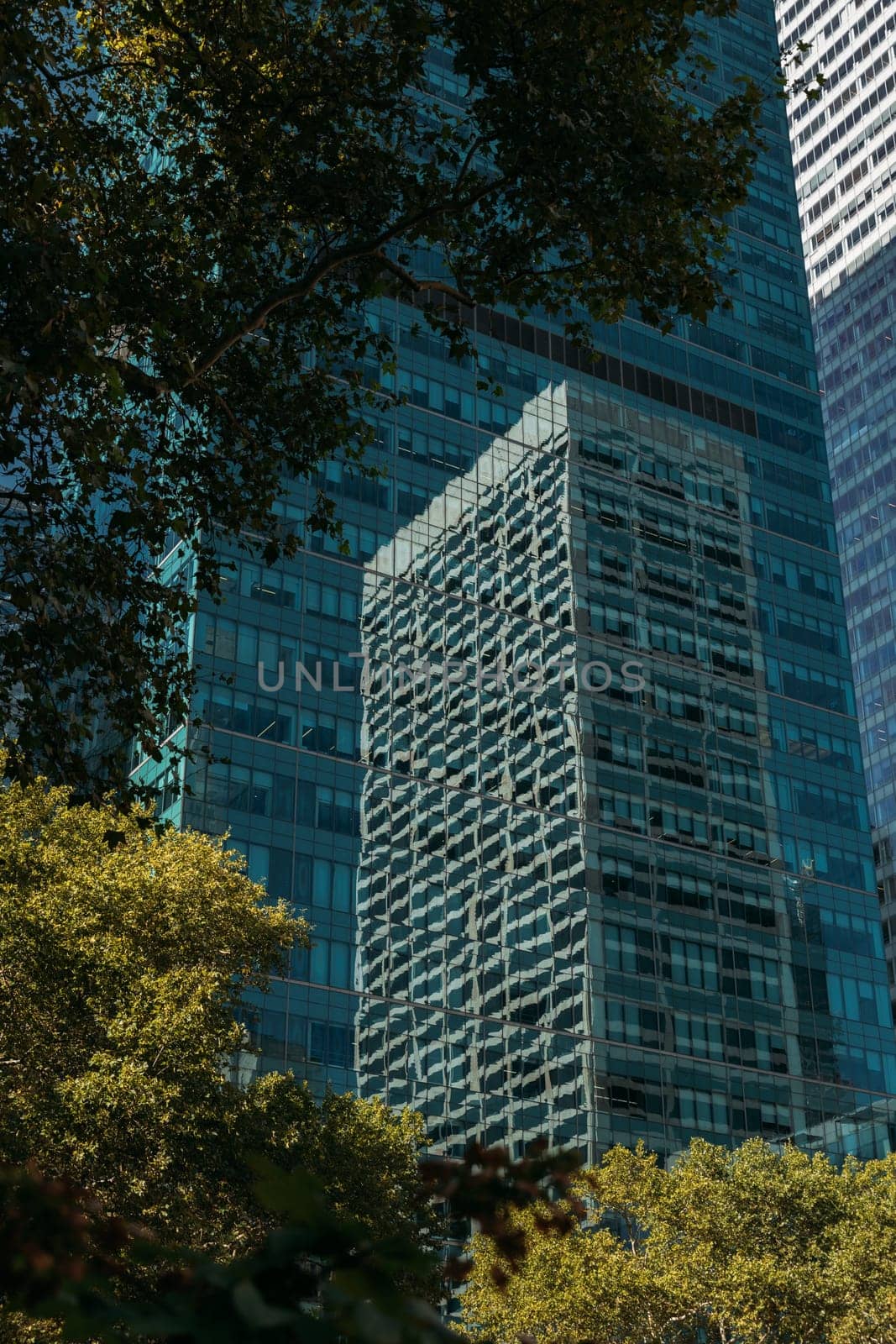Modern glass skyscrapers with reflections of trees and buildings in New York City during the day.