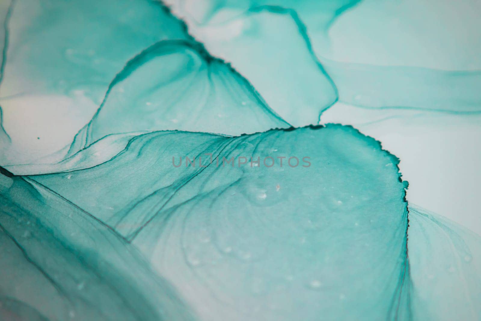 The picture is painted in alcohol ink. Abstraction will perfectly fit into a modern interior. Closeup of the painting. Colorful abstract painting background. Highly-textured paint.
