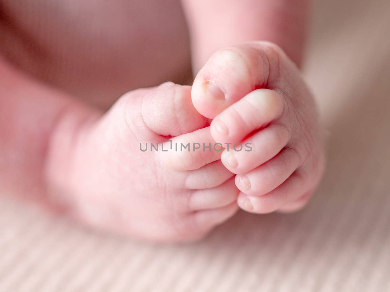 Tiny Feet Of A Newborn Baby Girl Are Incredibly Delicate And Precious