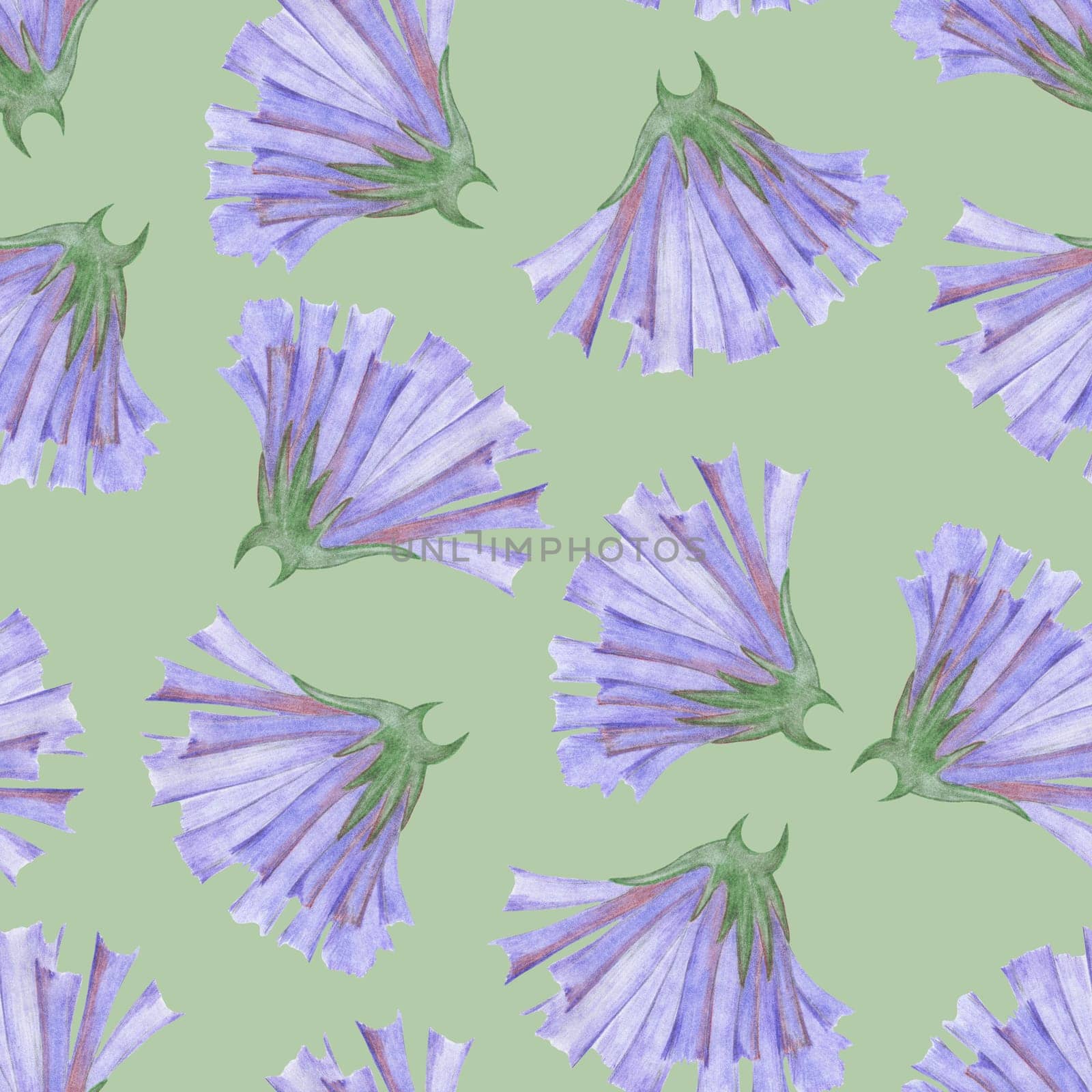 Simple Cornflower Floral Seamless Pattern on a Light Green Background. Hand Drawn Simple Cornflower Digital Paper. Wild Meadow Flowers Drawn by Colored Pencils.