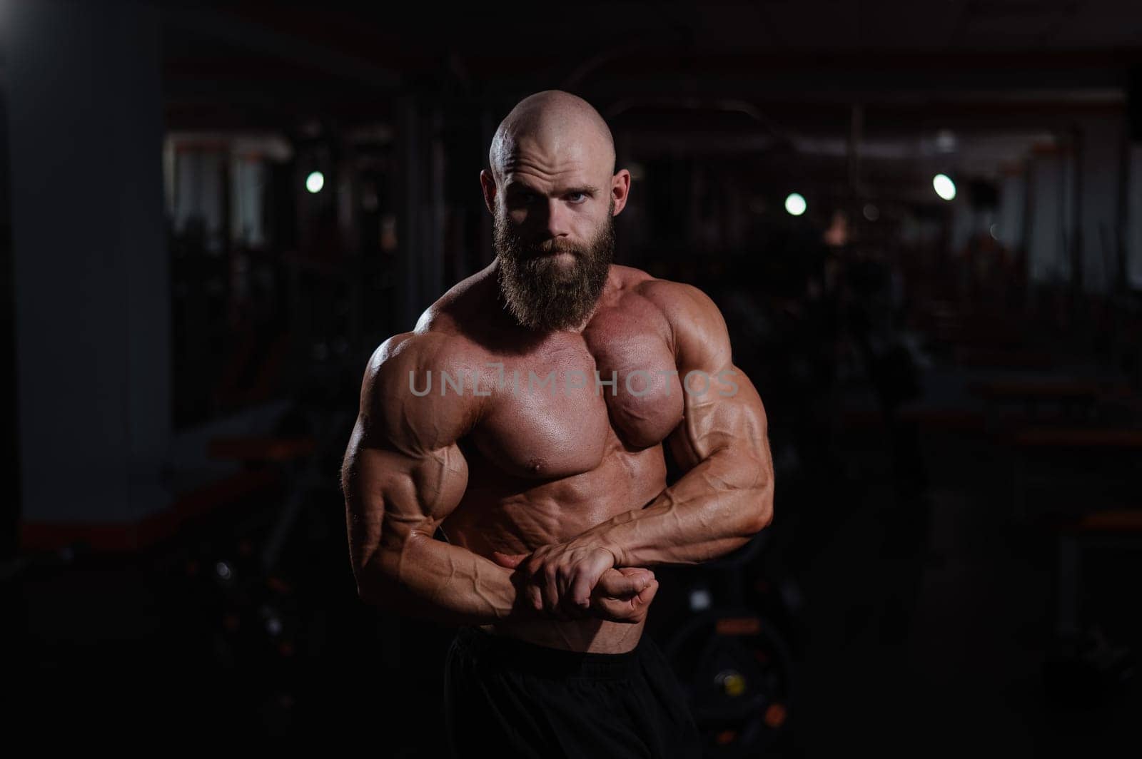 Caucasian bald man posing in the gym. by mrwed54