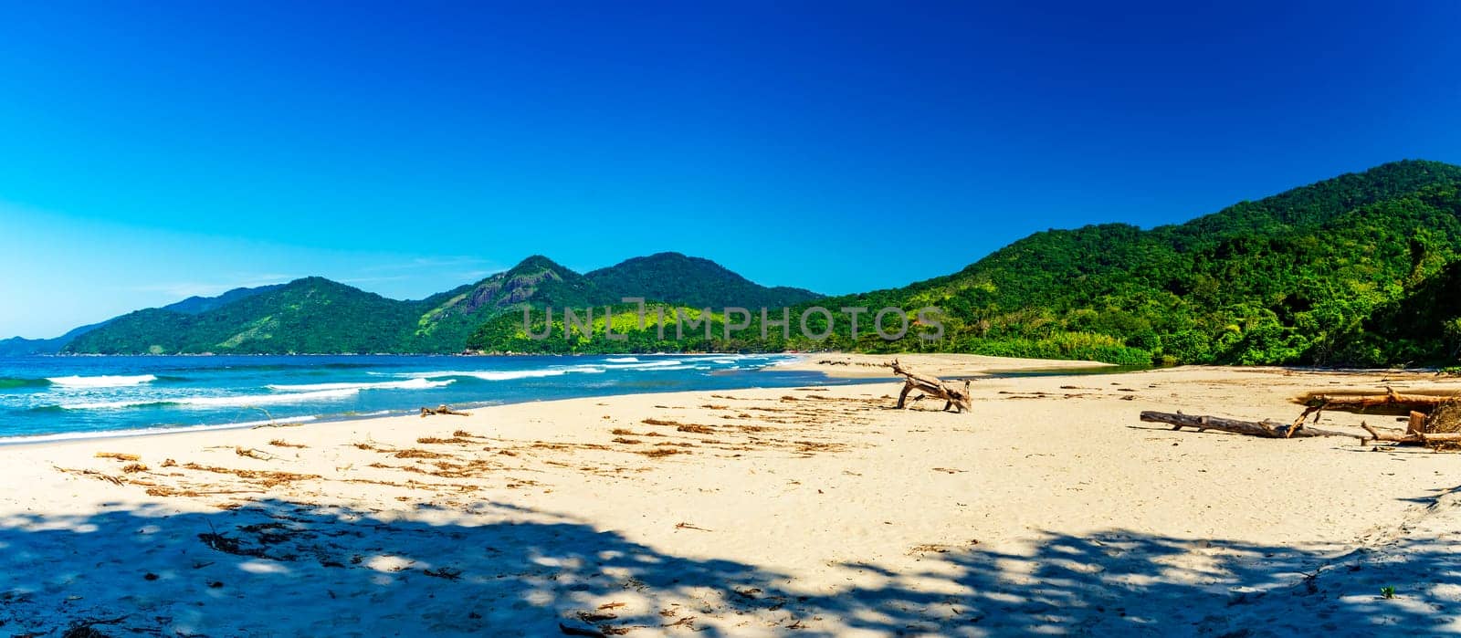 Castelhanos beach between the sea, mountains and forests of the island of Ilhabela on the coast of Sao Paulo