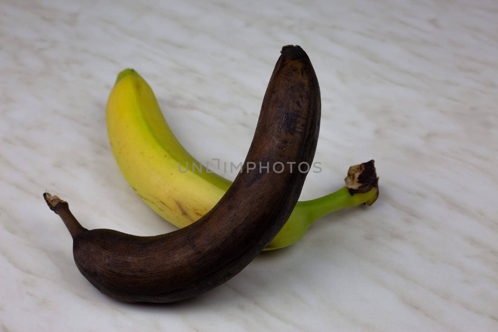 Rotten dirty and fresh banana. Spoiled fruit in peel not suitable for food, black overripe banana