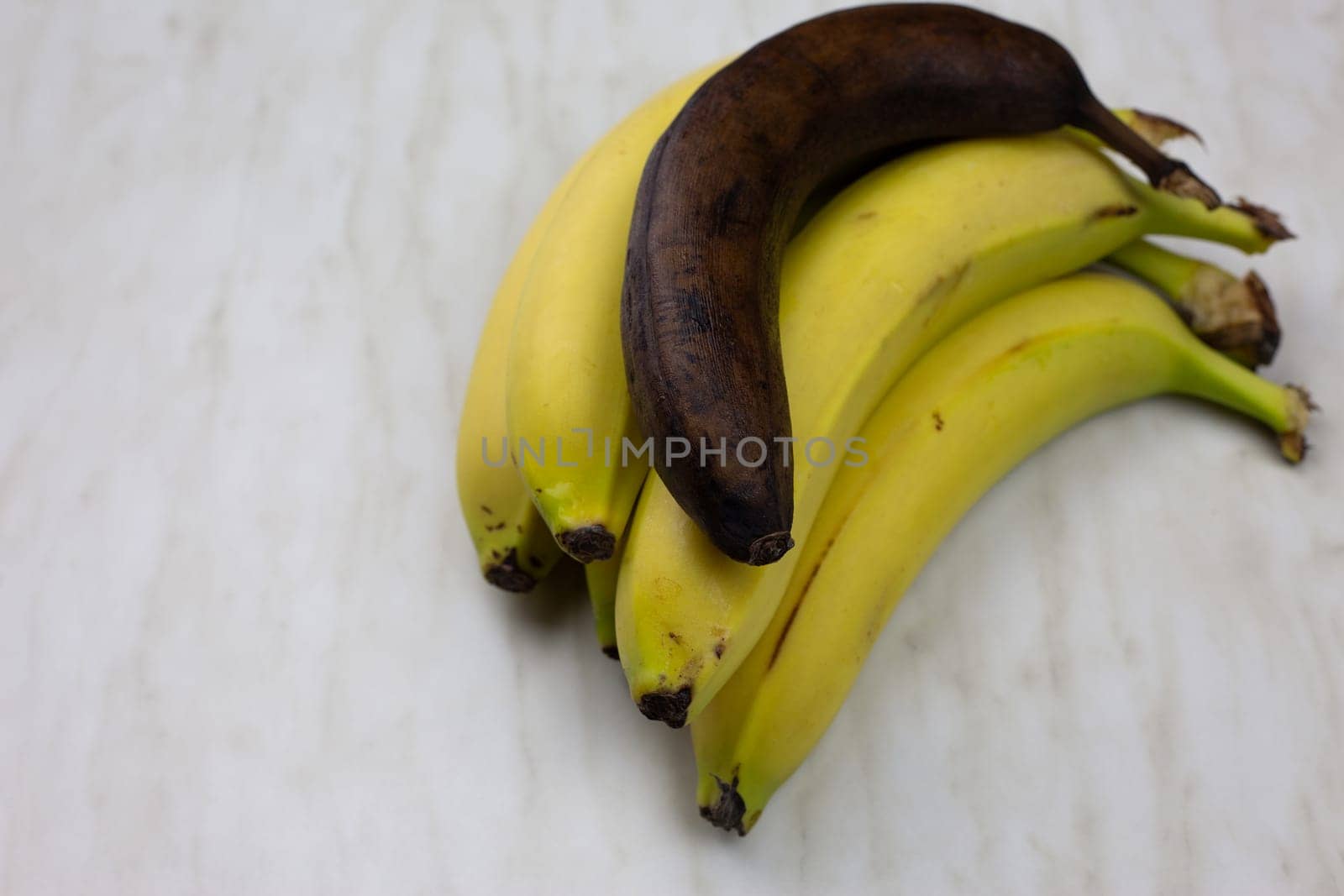 Rotten unhealthy banana fruit lies on fresh juicy bananas, spoiled overripe banana on white table