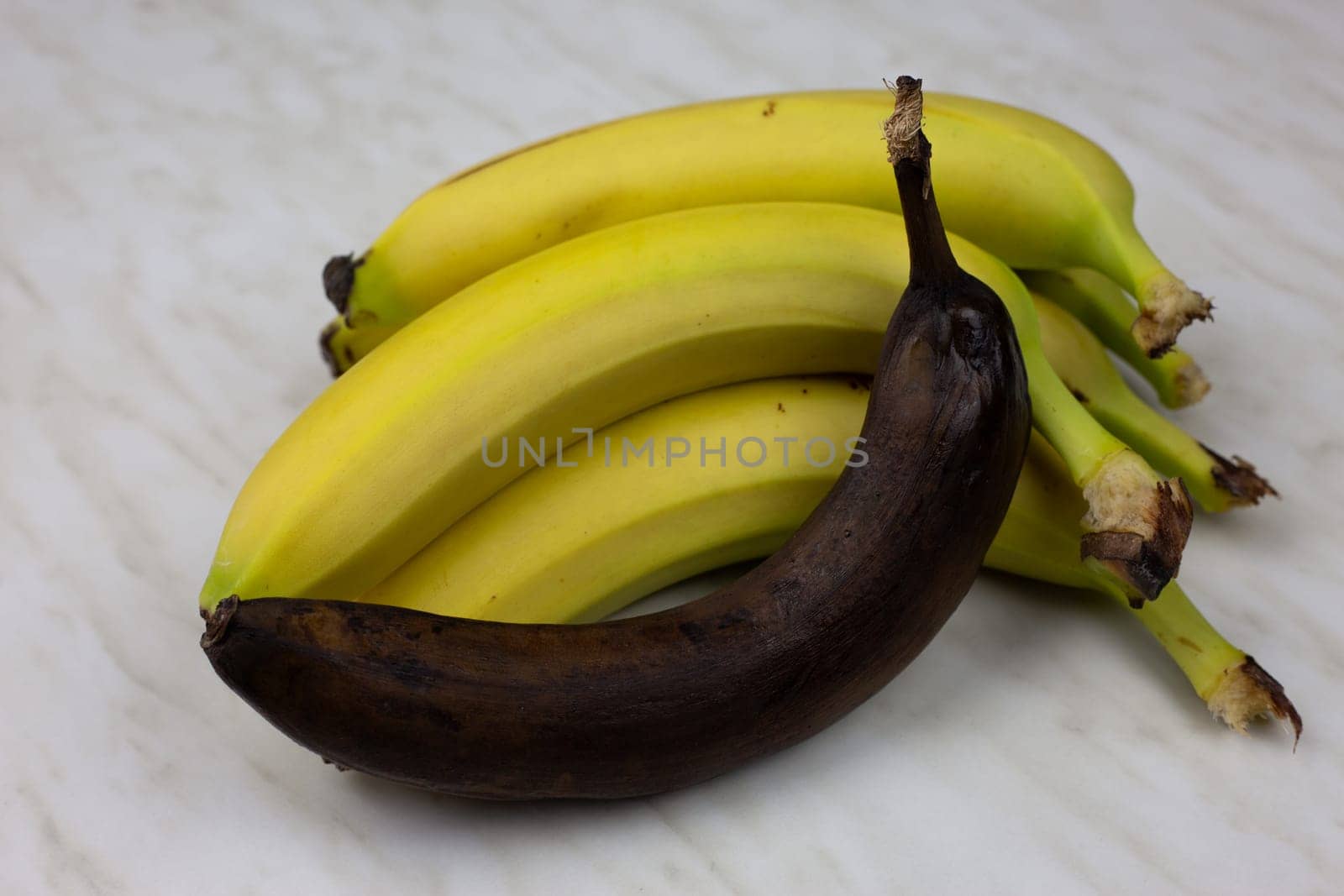 Rotten unpleasant banana in black peel against the background of juicy fresh banana fruit, spoiled fruit not suitable for healthy eat