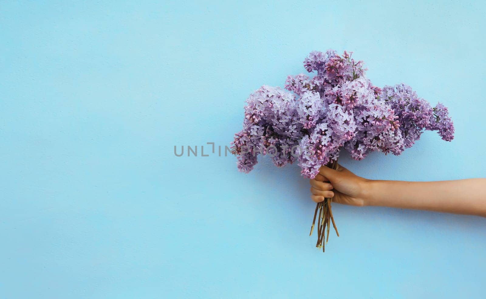 Female hand holding bouquet of spring fresh lilac flowers, wildflowers on blue background