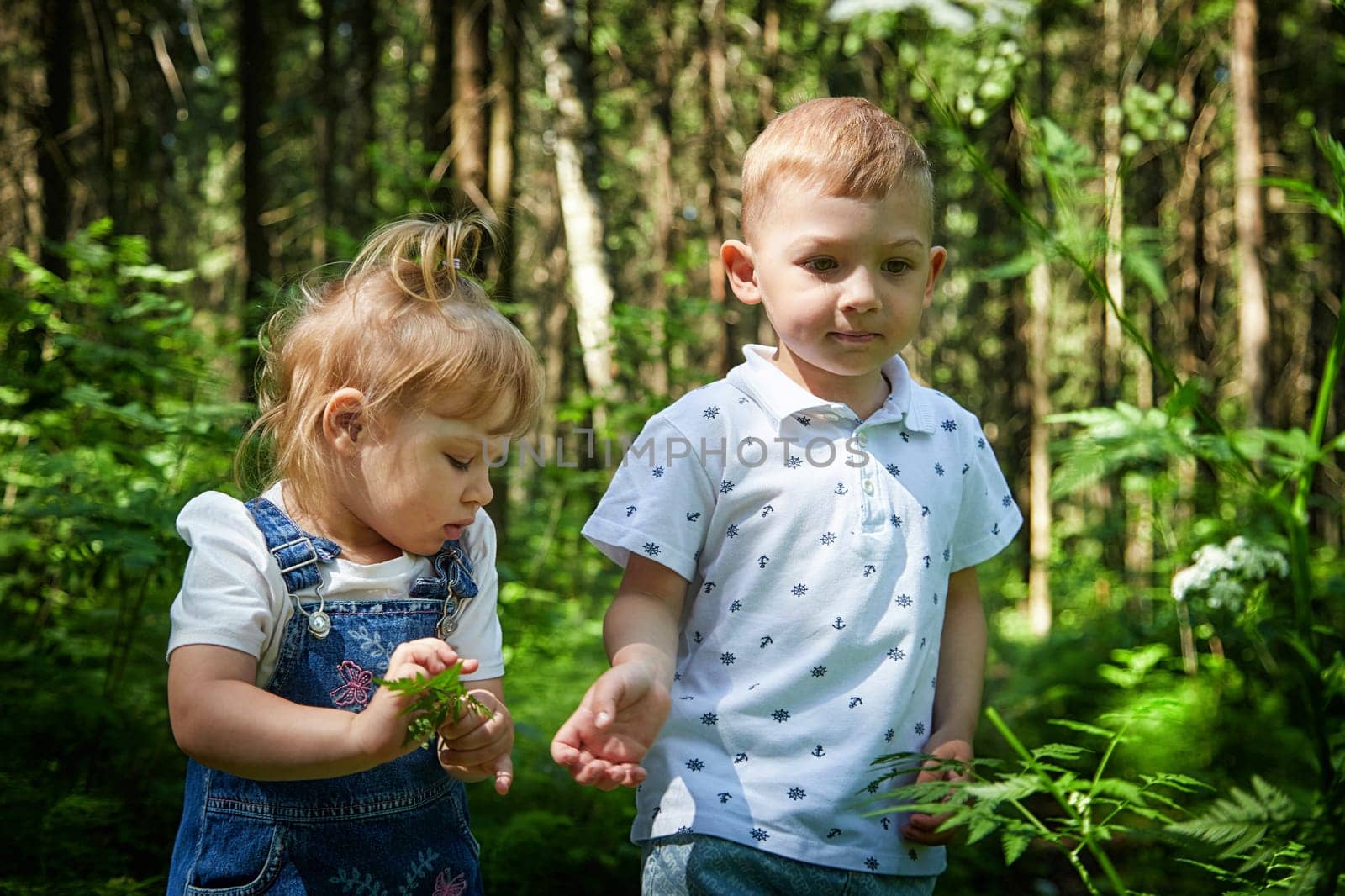 A boy presents a flower to a girl in nature. The concept of caring, attention to a woman on Women's Day by keleny