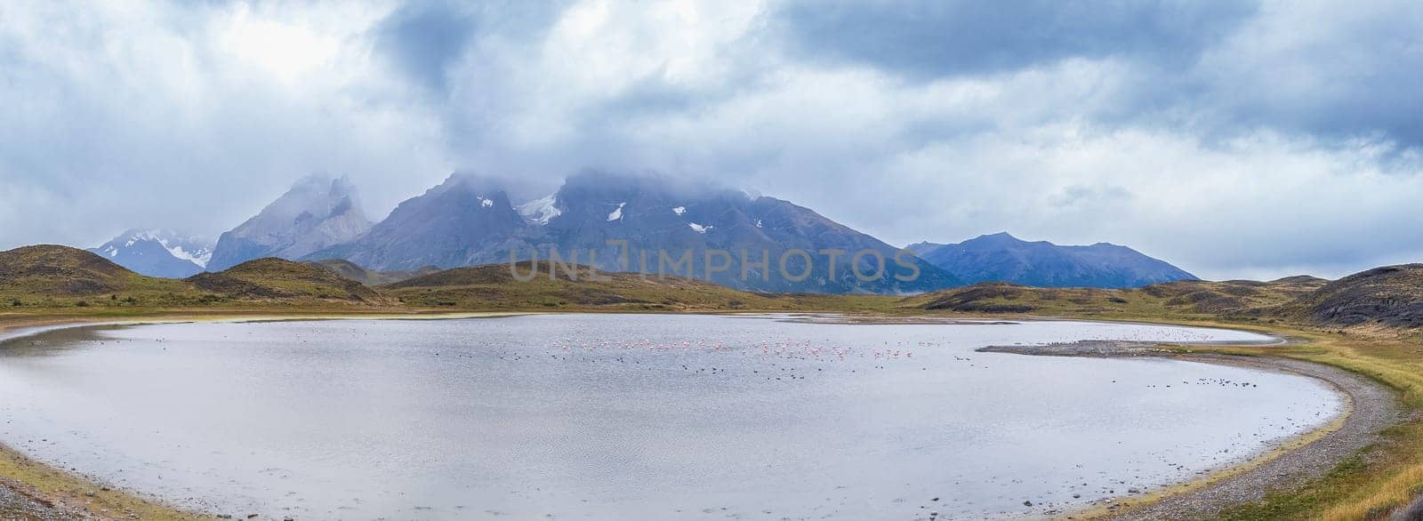 Panoramic View of Flamingos in a Mountain Lake Landscape, Torres del Paine by FerradalFCG