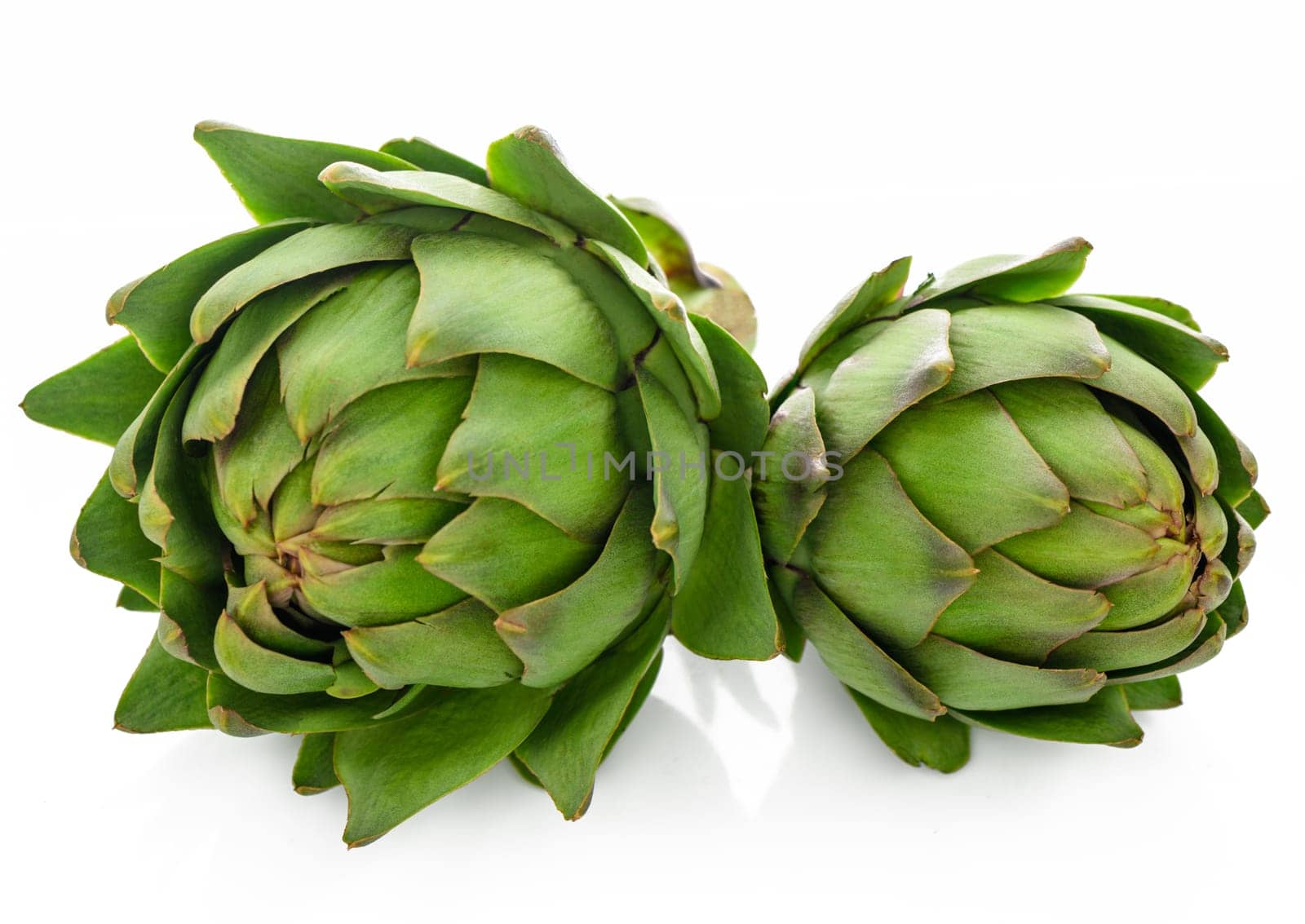 two green artichokes on a white background 1 by Mixa74