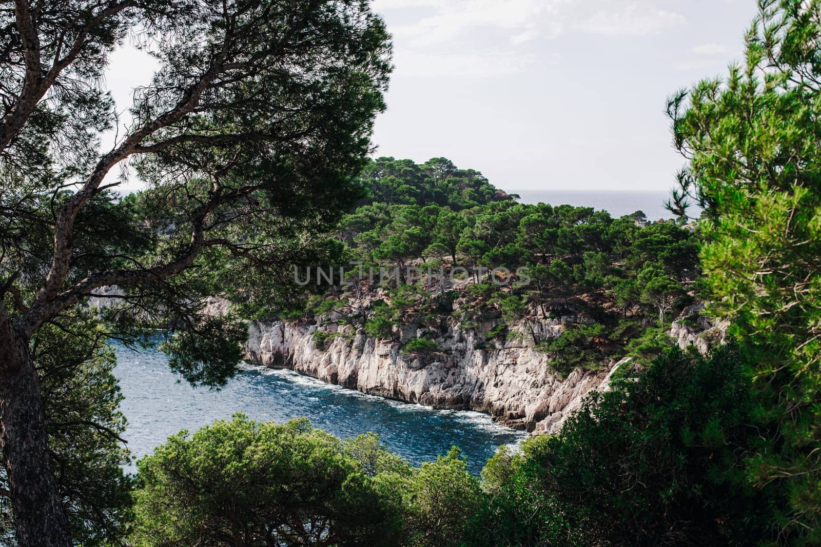 Beautiful view of a bay between rocky mountains with vegetation in the Mediterranean Sea on a summer day in the Calanques in France, close-up side view with depth of field.