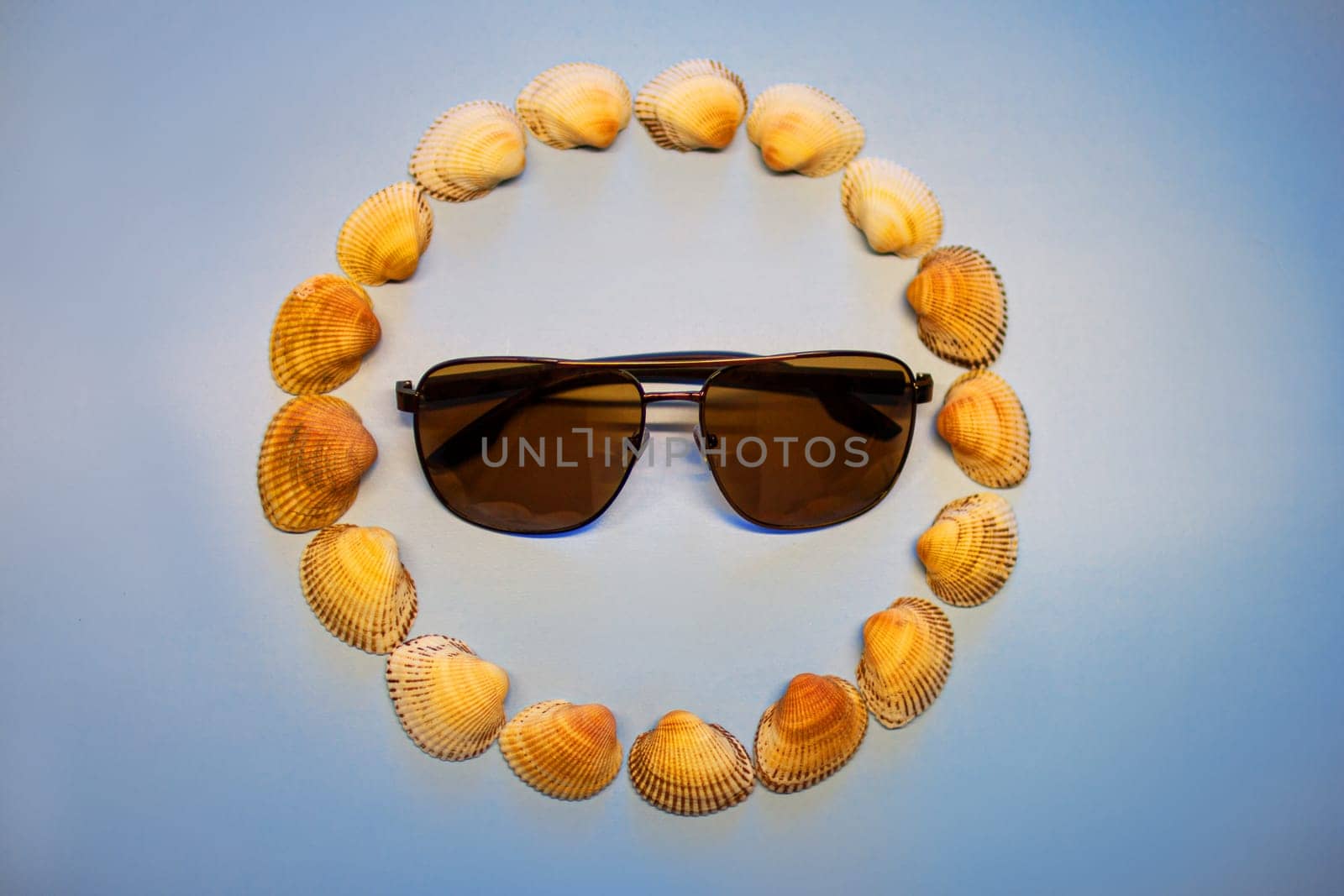 Sunglasses in a circle of shells. High quality photo