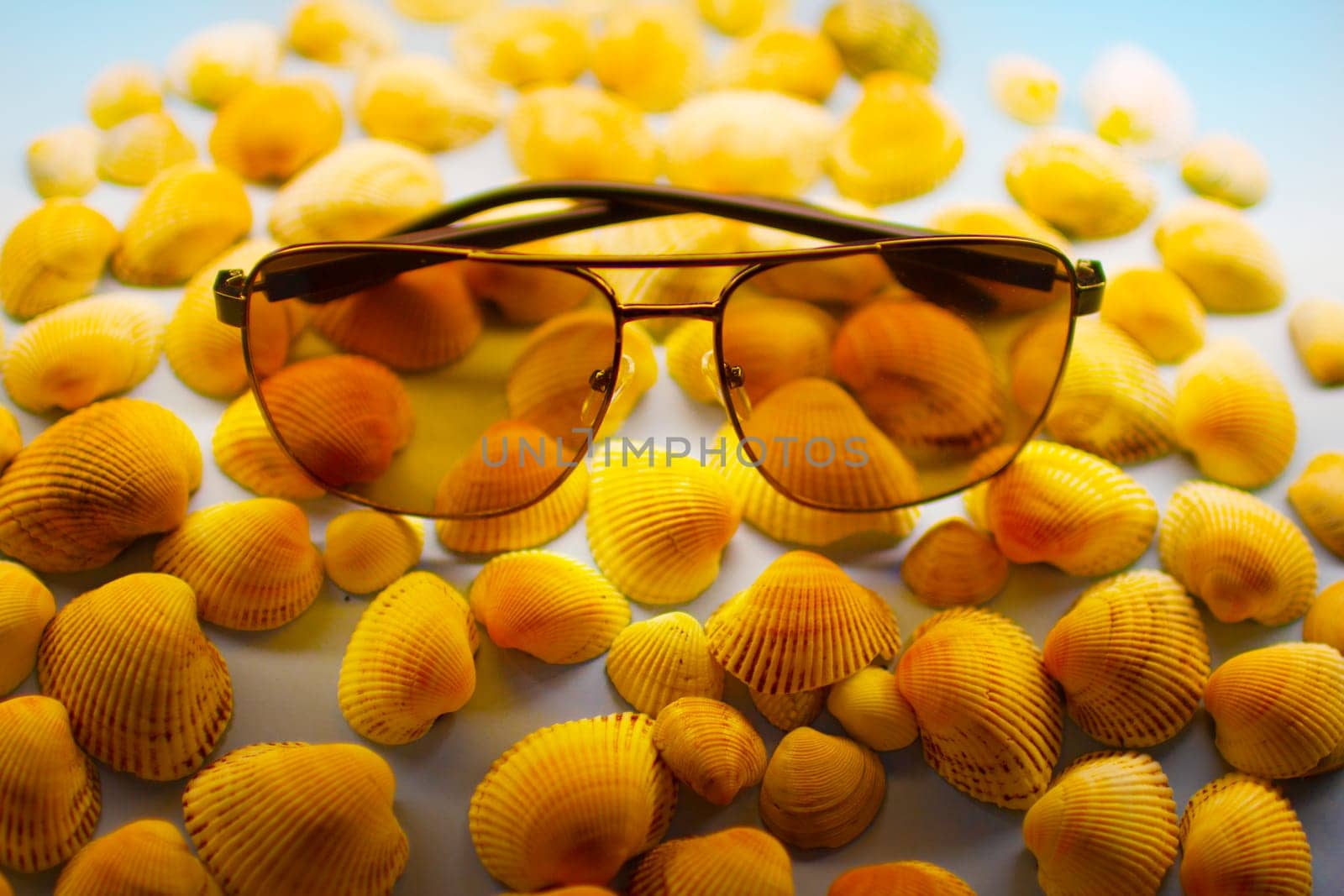 Sunglasses lie on seashells. High quality photo