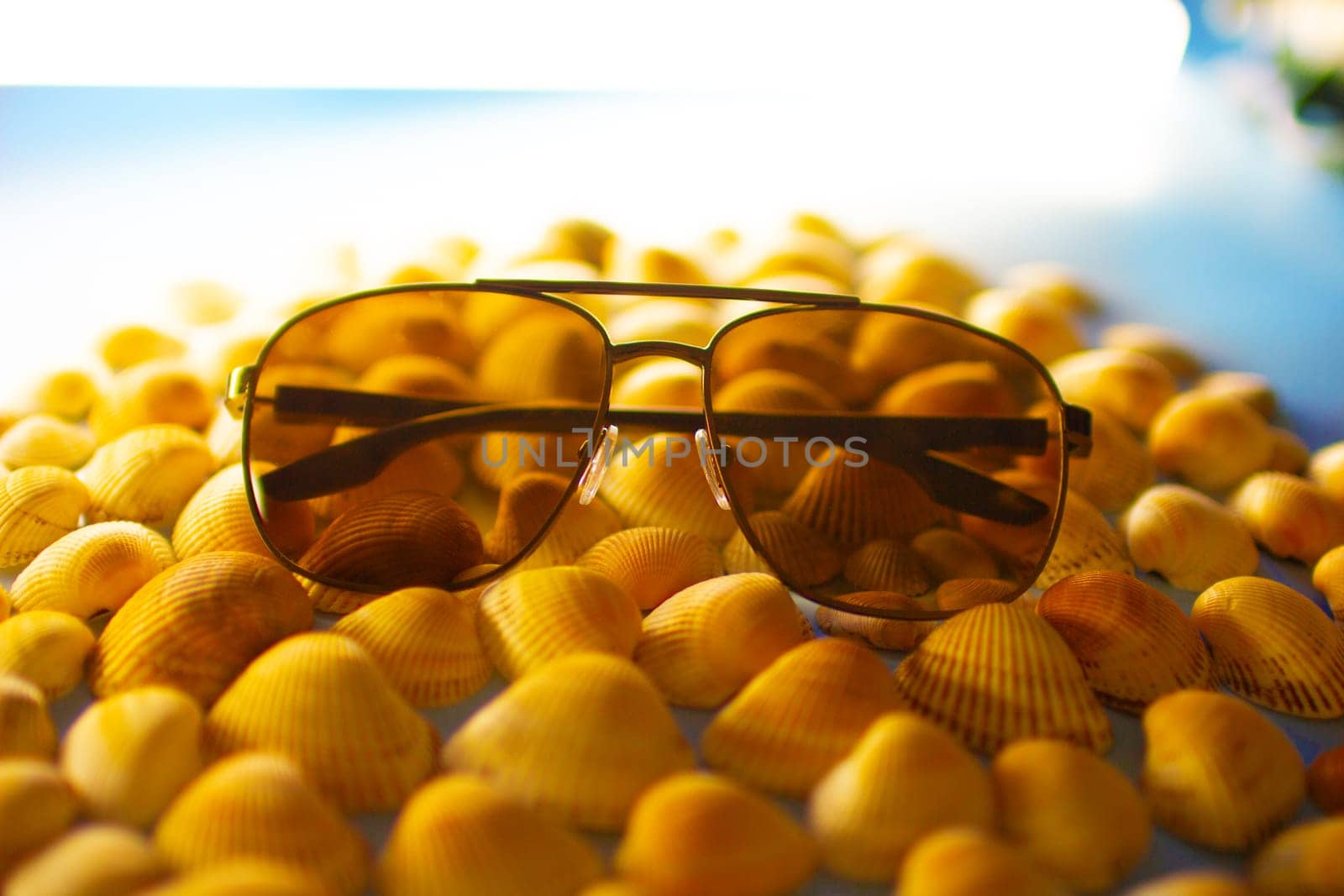 Sunglasses lie on orange seashells by VeronikaAngo