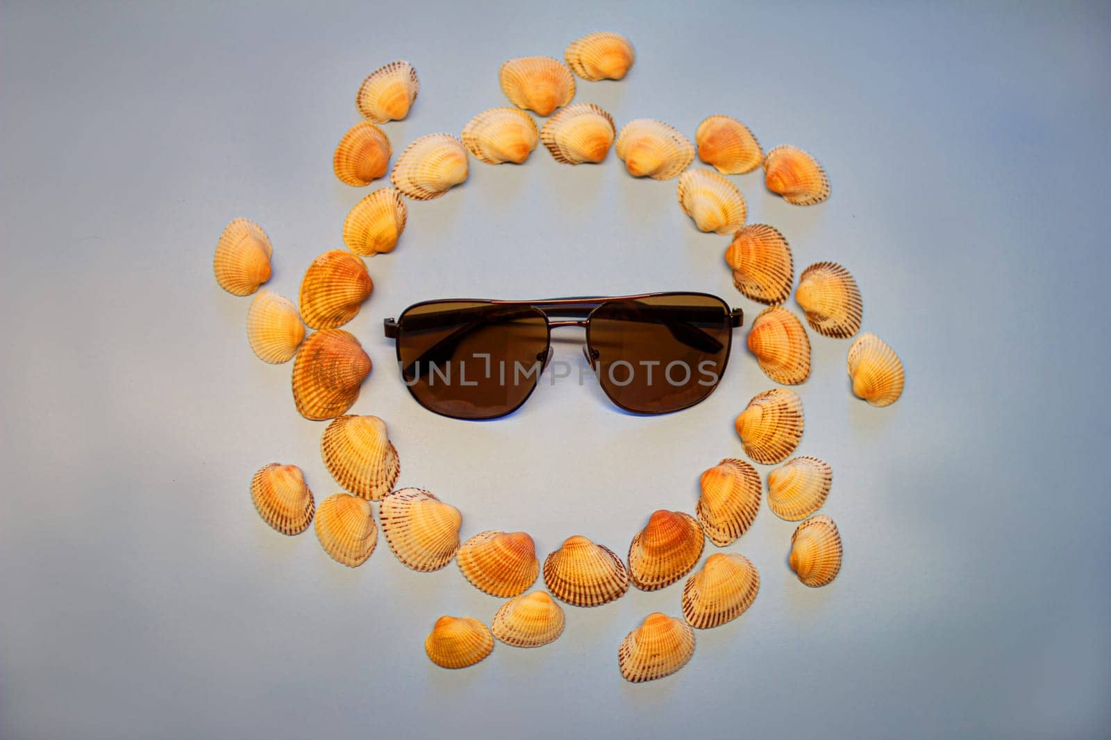 Sun of shells in sunglasses. High quality photo