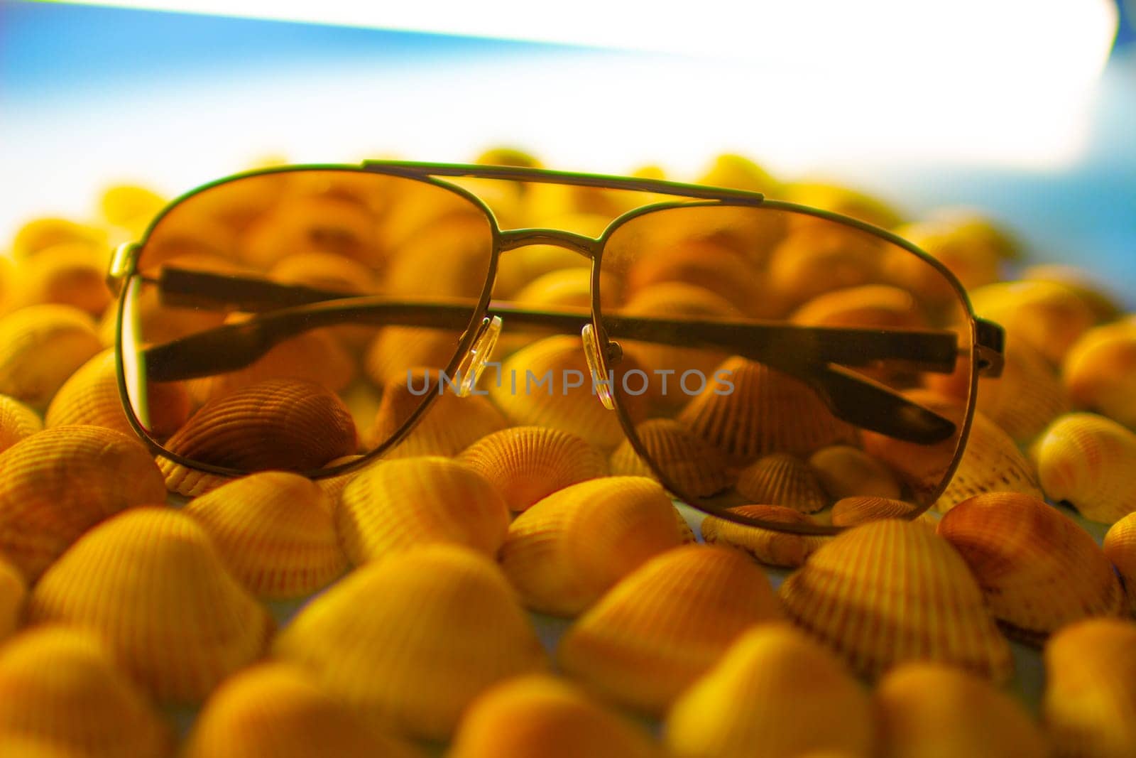 Sunglasses lie on orange seashells by VeronikaAngo