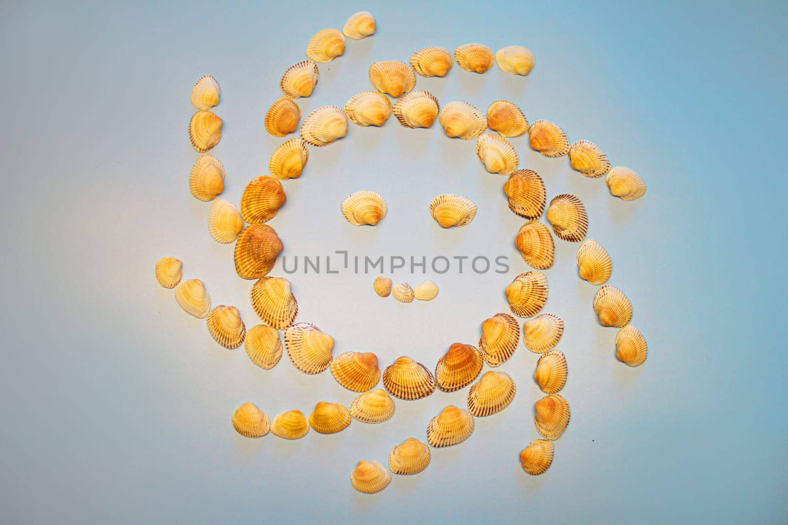 Smiling sun made of seashells on blue background. High quality photo