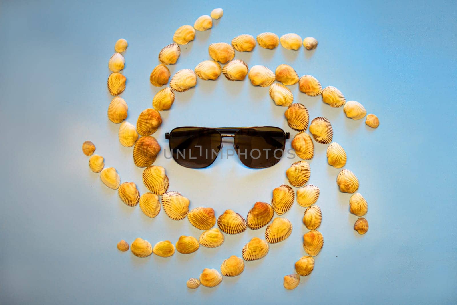 Sun of shells in sunglasses. High quality photo