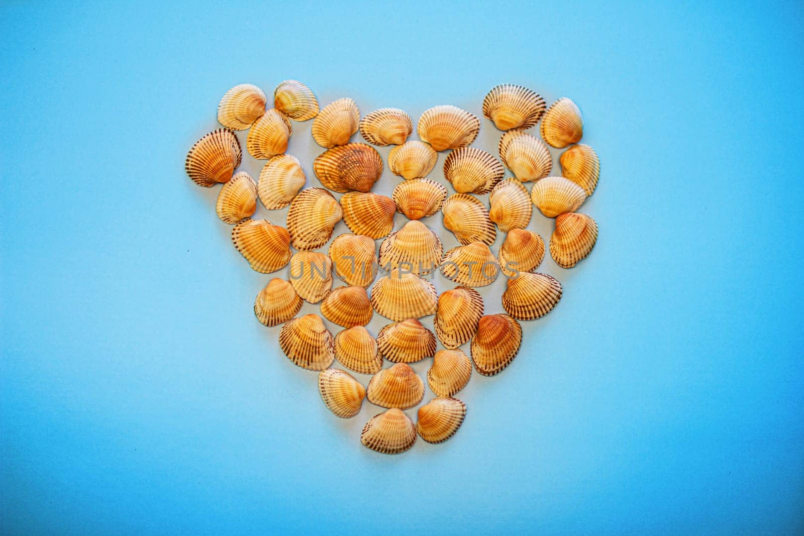 Seashell Heart on a blue background by VeronikaAngo