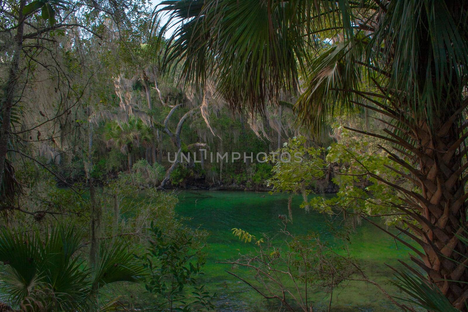 Views at Blue Springs State Park Near Orlando, Florida