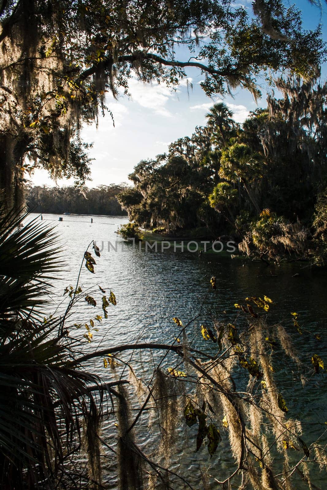 Views at Blue Springs State Park Near Orlando, Florida
