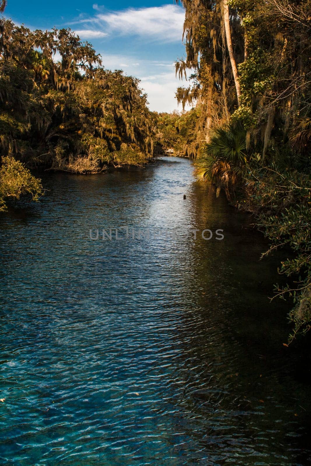Views at Blue Springs State Park Near Orlando, Florida