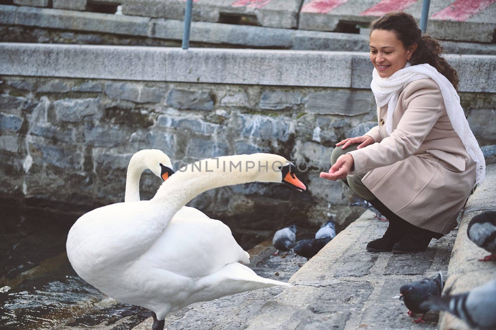 Woman in a coat and scarf feeding swans and pigeons on a stone path by the water. A peaceful and interactive moment with nature.