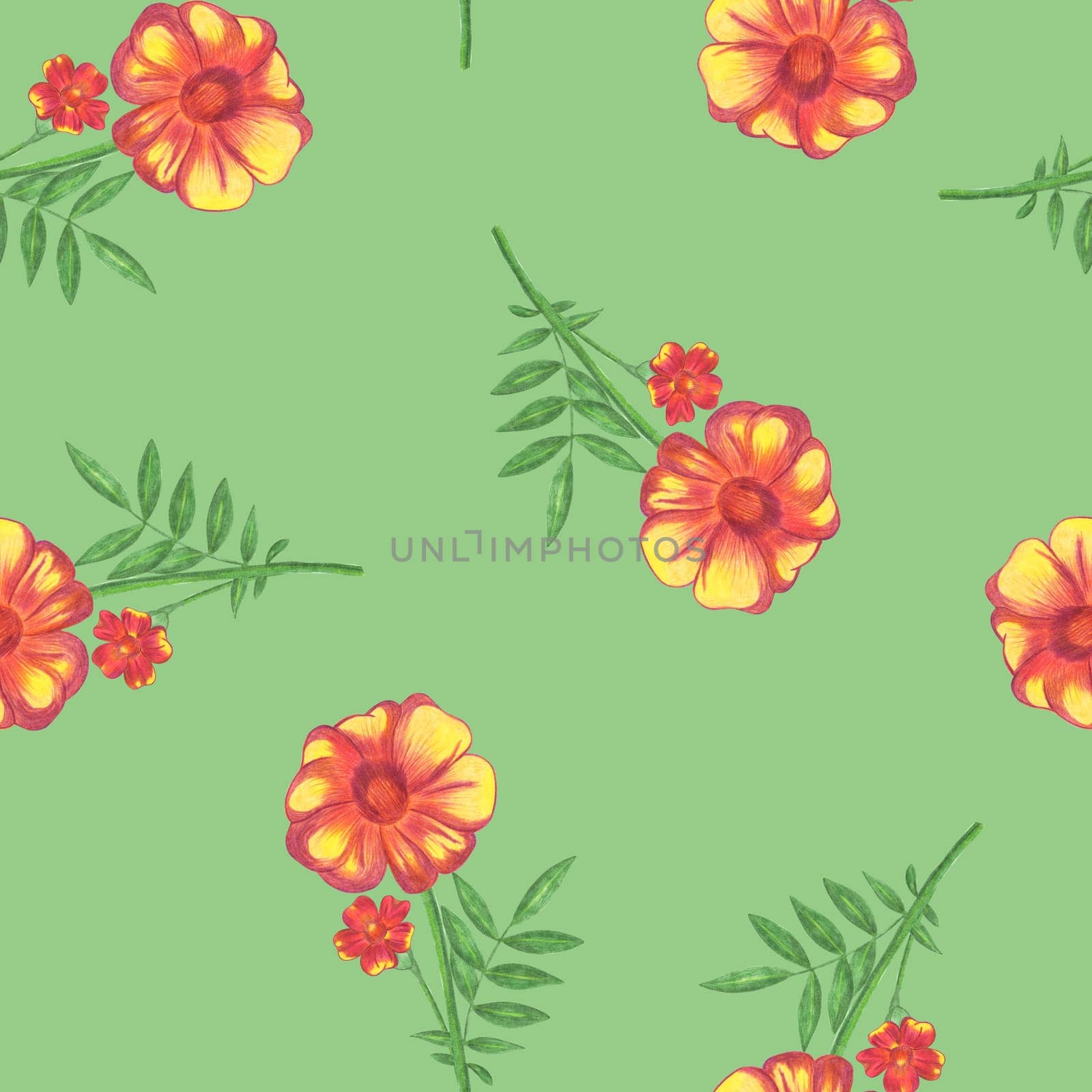 Marigold Flower Seamless Pattern. Floral Digital Paper. by Rina_Dozornaya