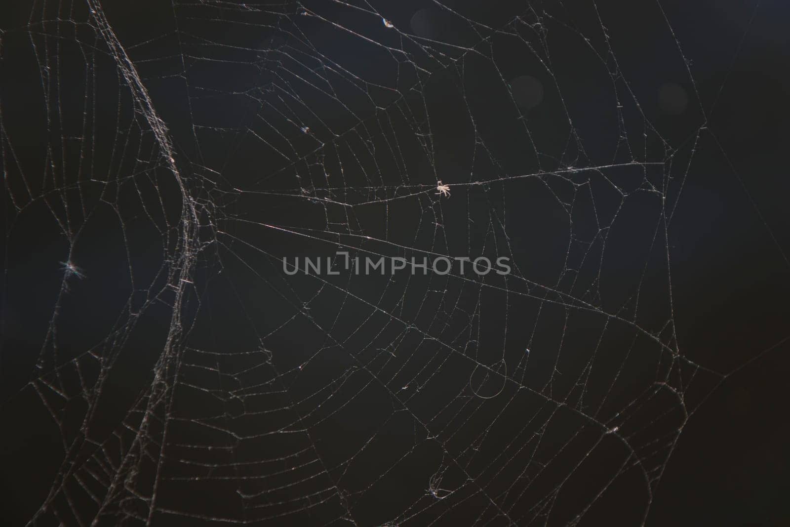 Spider web on the dock pier harbor sailing boat in water. sunlight marina in Finland