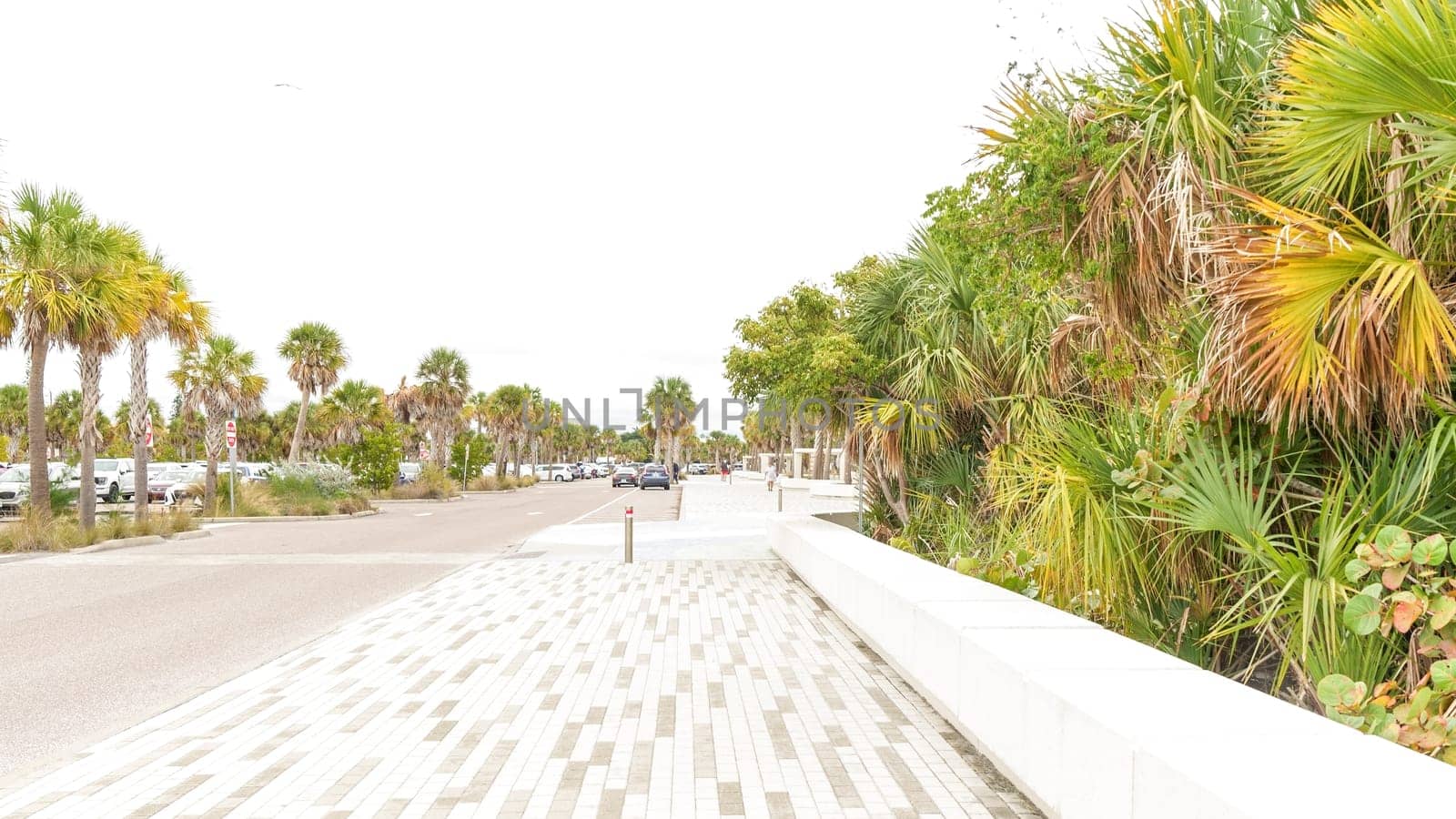 The parks paved pathway is perfect for strolling and enjoying the tropical scenery. Lined with palm trees, it offers shade and a relaxing atmosphere for pedestrians and cyclists.