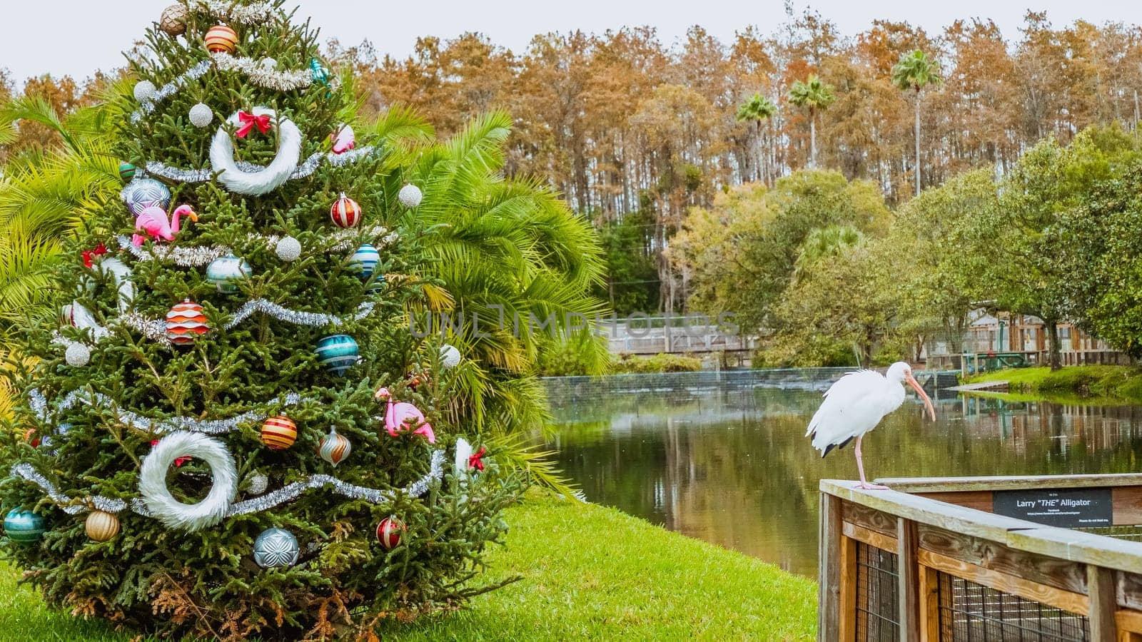 Tree adorned with colorful ornaments, lights, star. Serene lake surrounded by lush green trees and shrubs. White bird perched on branch by waters edge. Cloudy sky with hints of blue.
