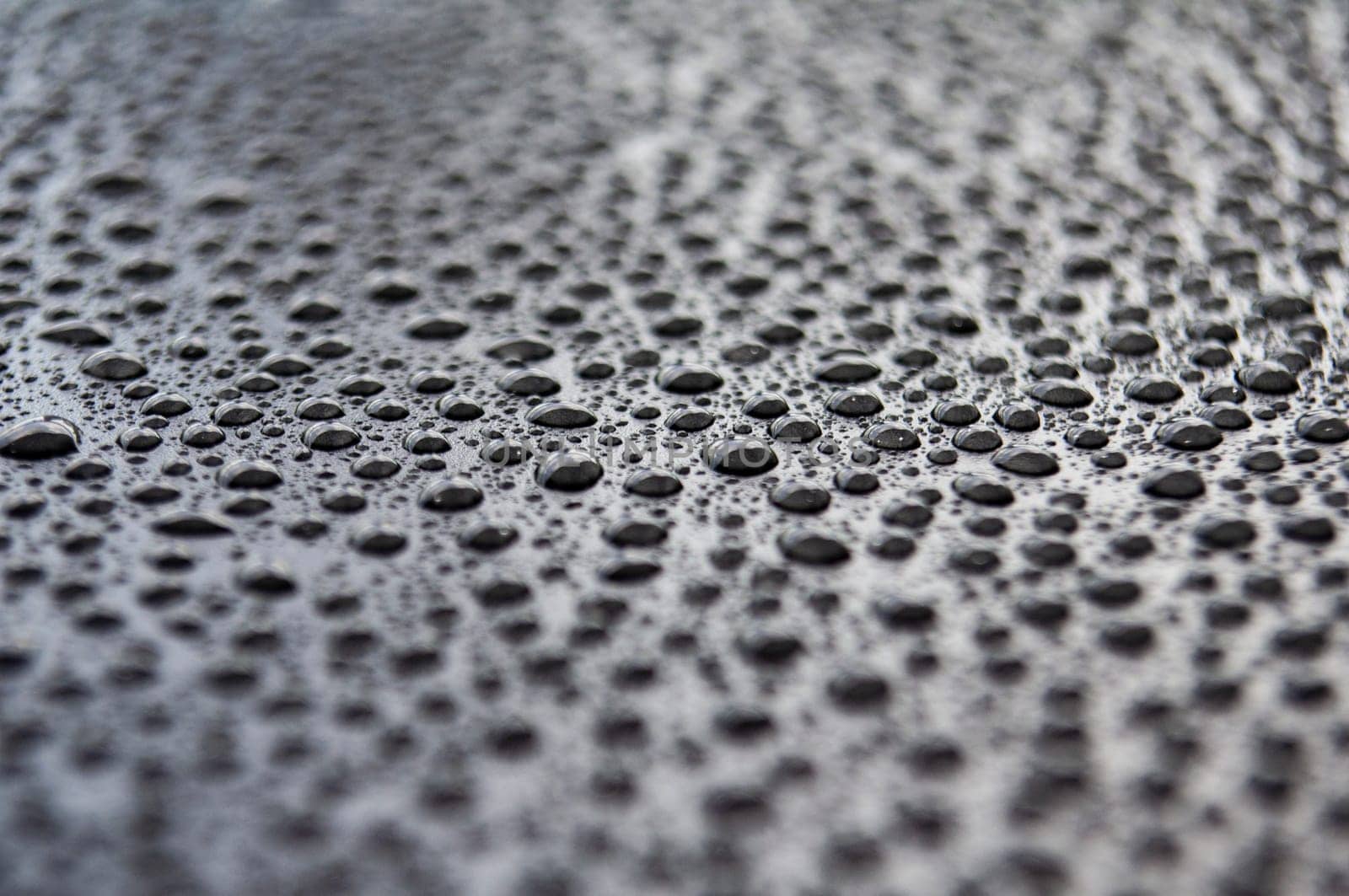 Close up of water droplets on dark background