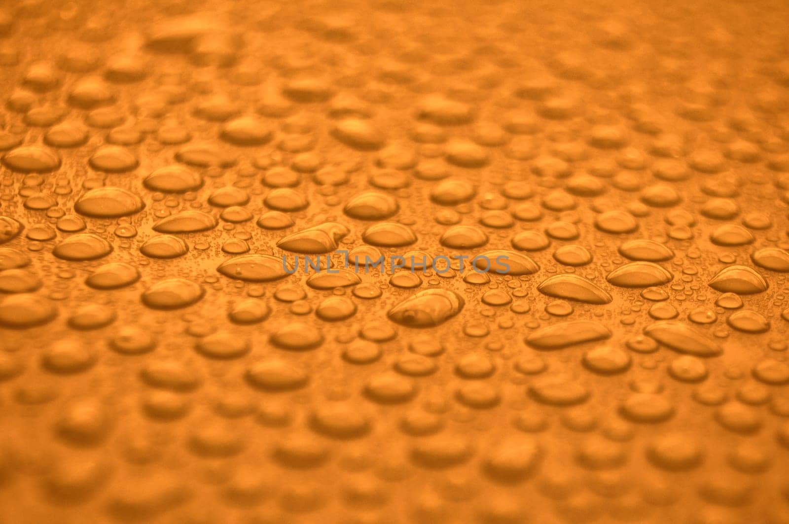 Close up of rain water droplets on golden cover background