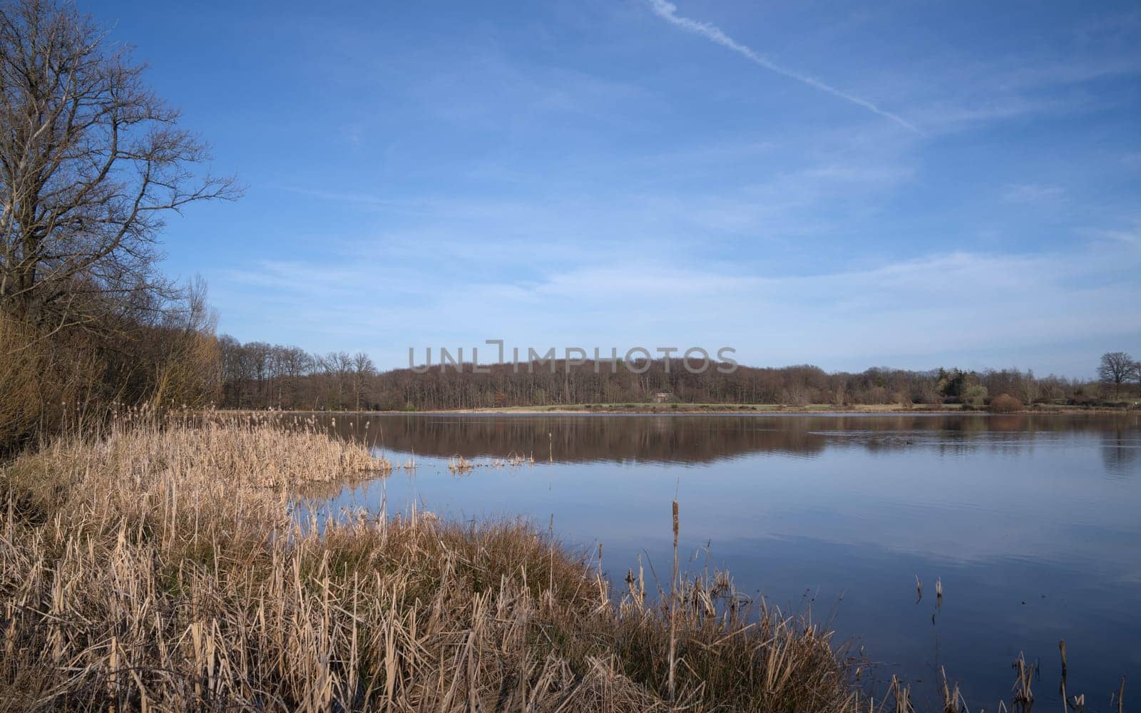 Panoramic image of Rodder lake, Eifel, Rhineland-Palatinate, Germany