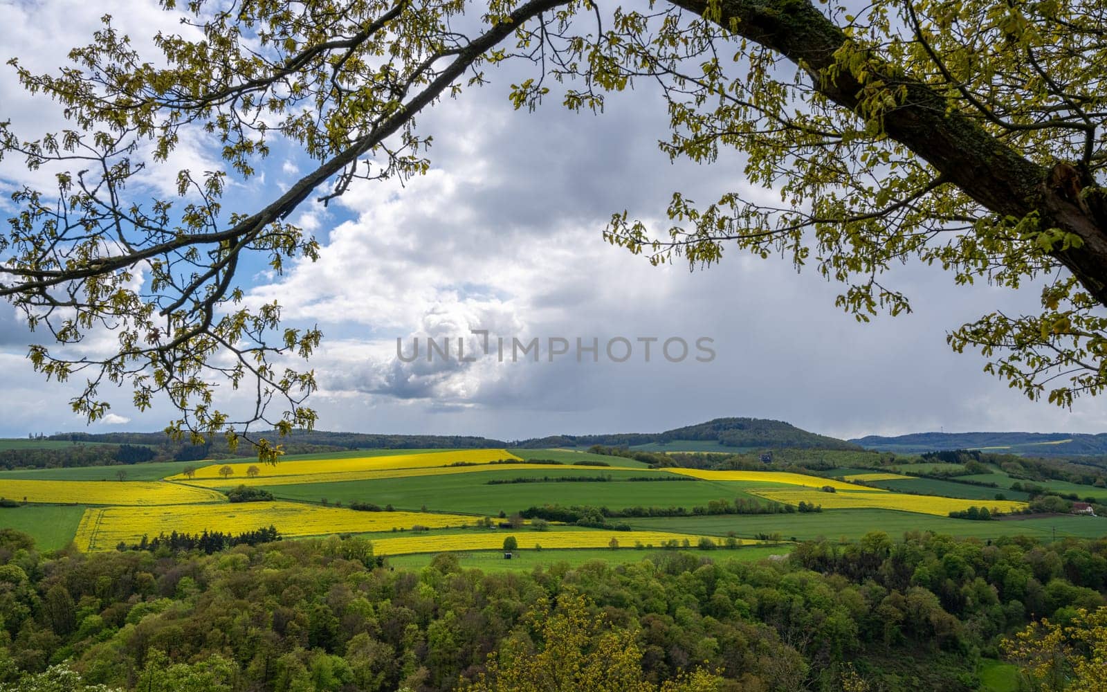 Panoramic image of Brohl valley, Eifel, Rhineland-Palatinate, Germany