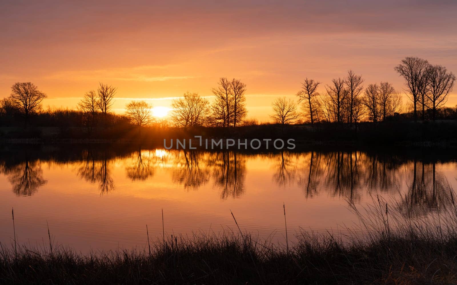 Panoramic image of Rodder lake during sunrise, Eifel, Rhineland-Palatinate, Germany